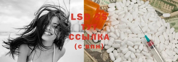 гидра Алексин