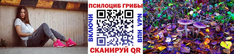 даркнет сайт  Муравленко  маркетплейс наркотические препараты  Галлюциногенные грибы Cubensis 